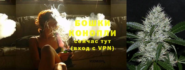 прущие грибы Новокубанск