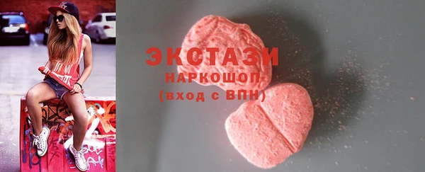 гашик Новозыбков