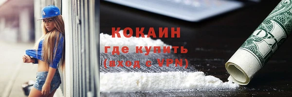 гашик Новозыбков