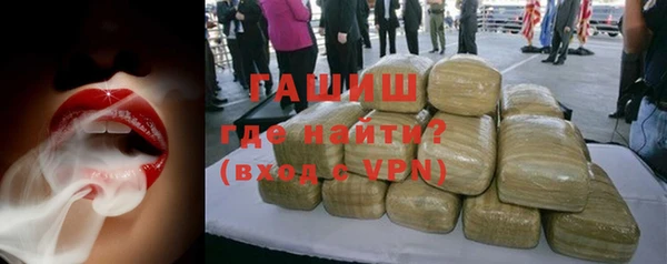 гашик Новозыбков