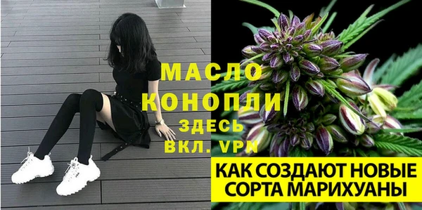 прущие грибы Новокубанск