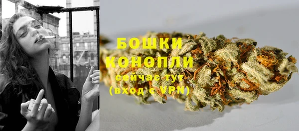 гашик Новозыбков