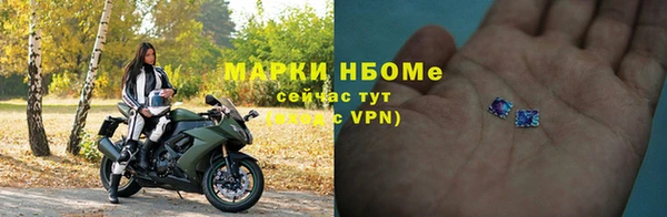 прущие грибы Новокубанск