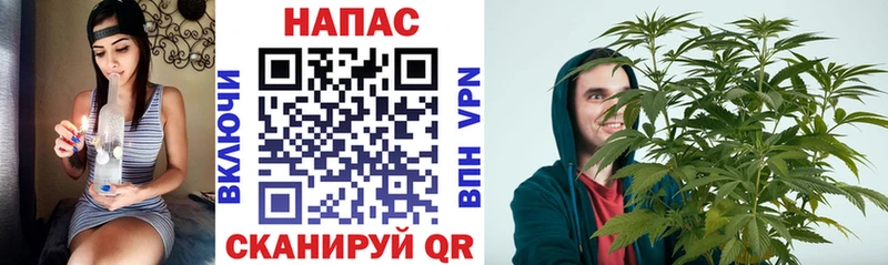 купить   Бабушкин  Бошки Шишки ГИДРОПОН 